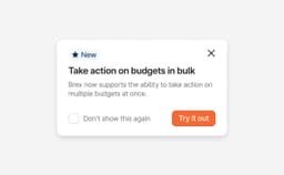Bulk budget management interface