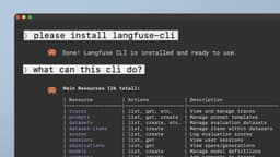 Langfuse CLI