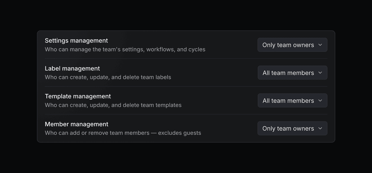 Team settings permissions panel showing controls for settings management, label management, template management, and member management, with most actions restricted to team owners.