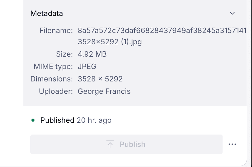 Image metadata displayed in the media library