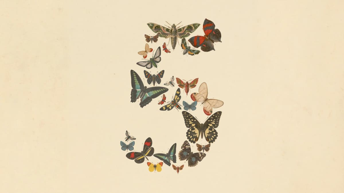 Claude Fable 5 and Claude Mythos 5