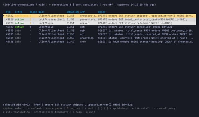 CLI inspects live database connections