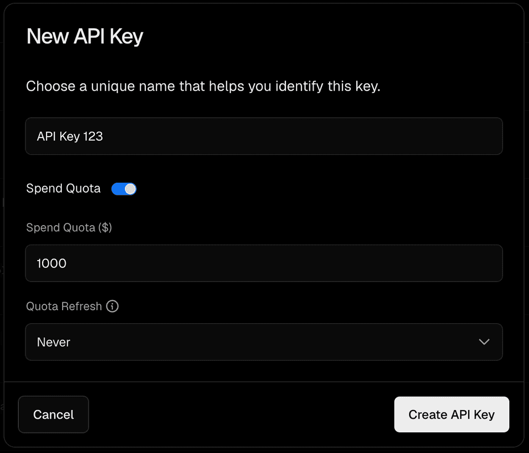 API key editing interface